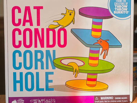 Cat Condo Cornhole