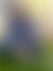 Announcement of Mississippi Legislative Committee Assignments for the Upcoming Session