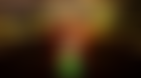 " HALF OF VIETNAM IS IN HUE "