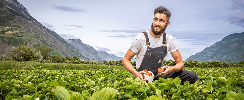 Atelier für Fotografie Andrea Soltermann Fotograf Wallis Schweiz