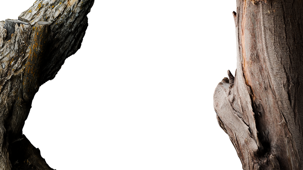 Home.png