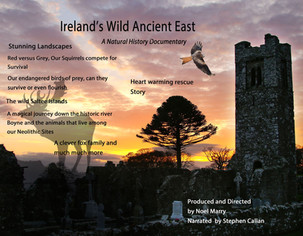 Ireland's Wild Ancient East