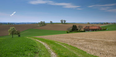 Seitenstetten; Mostviertel; Niederösterreich; Austria; Österreich; ofner; alpline; Landschaft; Landschaftsfoto; Frühling; Birnbaumblüte; blühend; Baum; Fernsicht; Felder; Landwirtschaft; Ackerbau; Seelenlandschaft; Vierkanthof; Feldweg; Horizont, Wandbilder, Keilrahmen, Wandtapete, Acrylglas, Aludibond,