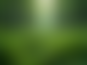 Guías Interactivas para Reducir la Huella de Carbono