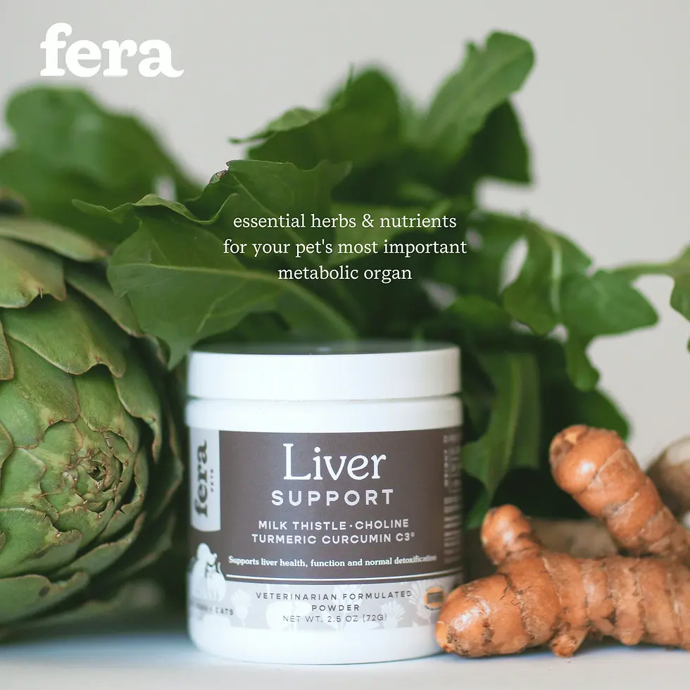 Miniatura: Liver Support