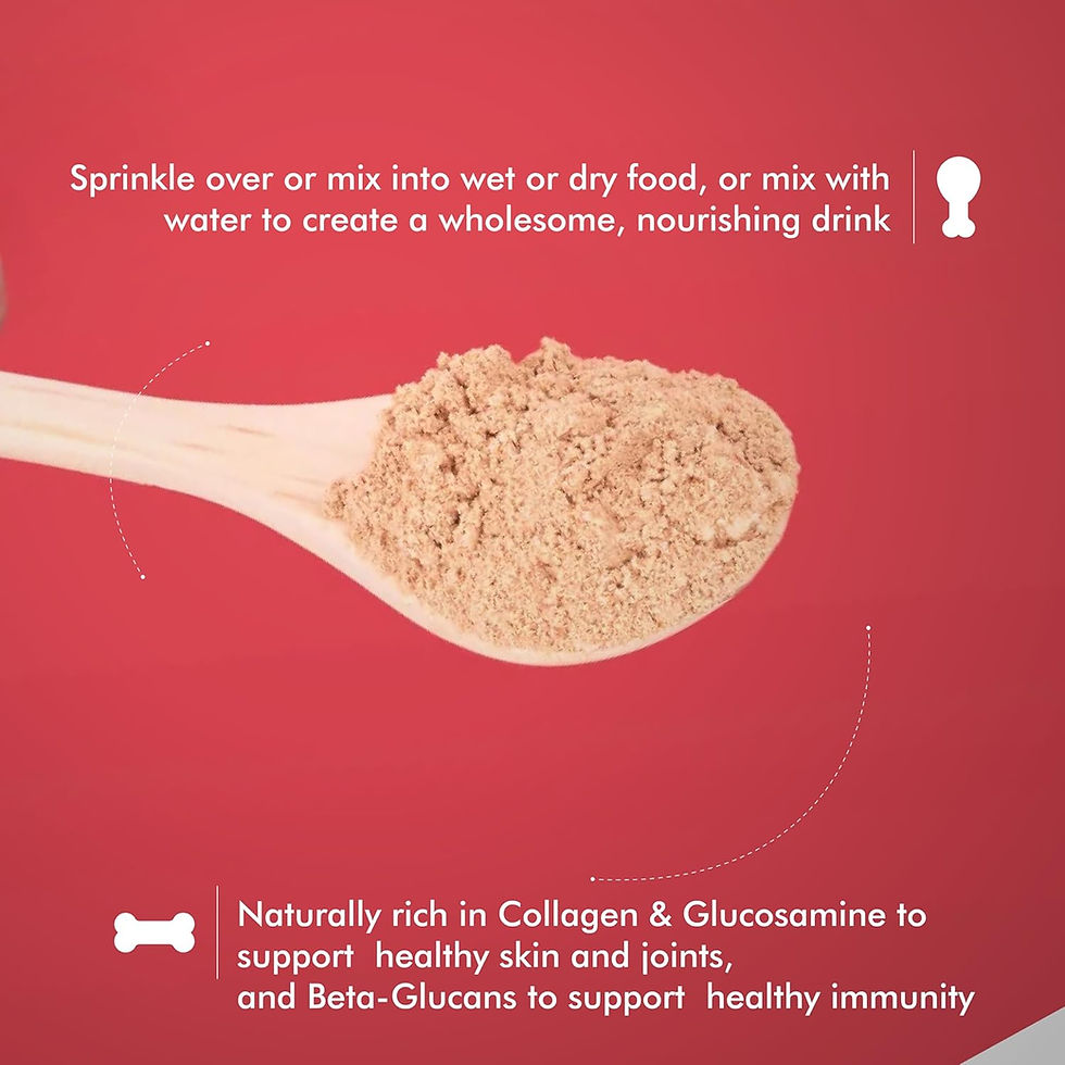 Miniatura: bone broth booster - holistic defense + BK Pets