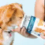 Miniatura: Salmon & Sweet Potato Gourmet Mix-in