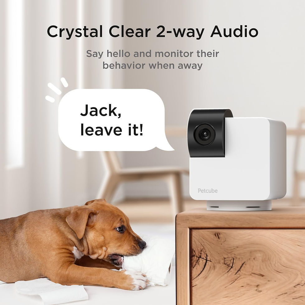 Miniatura: Petcube 360