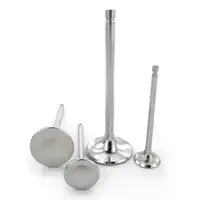Four silver engine valves
