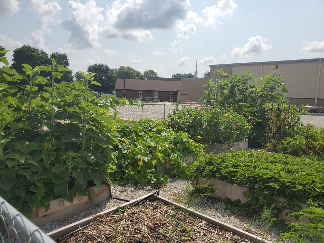 The Pro Deo Learning Garden