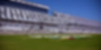 Herbies at Daytona.jpg