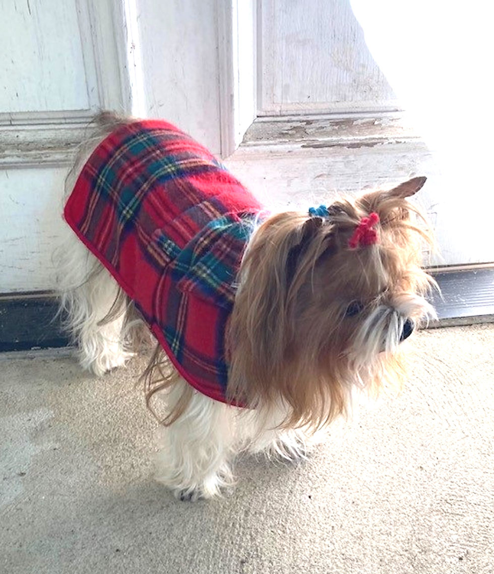 Thumbnail: Tartan Cashmere Dog Coat