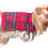 Thumbnail: Tartan Cashmere Dog Coat