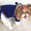 Thumbnail: Little Waif Hoodie Sweater