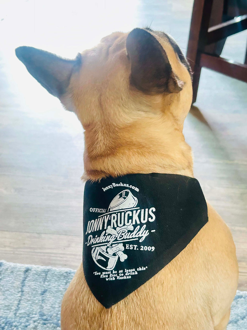 Thumbnail: Drinking Buddy Dog Bandana