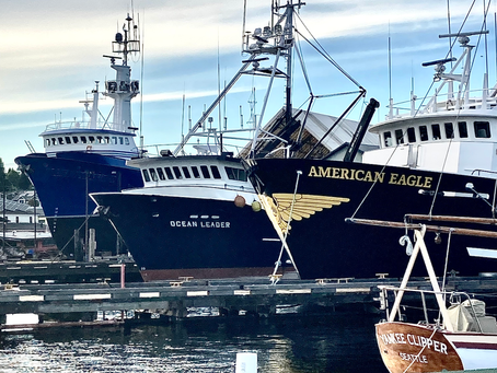 Market Update - June 2022