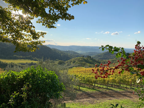 Vineyards views chianti Tuscany places to stay beautiful destinations agriturismo sunsets I love Tuscany