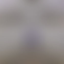 New Jersey Hindu Temple Case