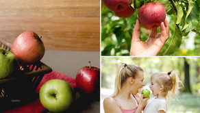 Healthy Food ตอนที่ 2 แอปเปิ้ลผลไม้ทานง่ายดีต่อสุขภาพร่างกายและผิวพรรณ