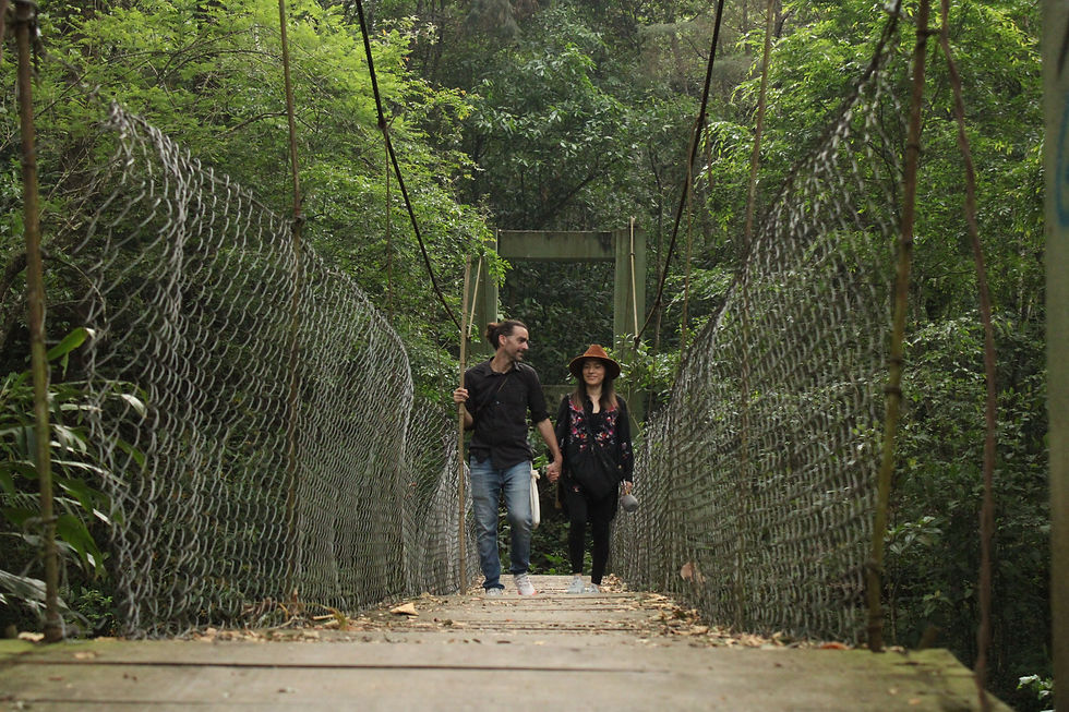 CAMINAR El Naranjal 8.jpg