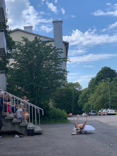 4.Minna_TervamaÌki_Taidelahja2020_7320.