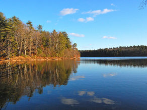 Walden Pond Is The Deepest Natural Pond In Massachusetts