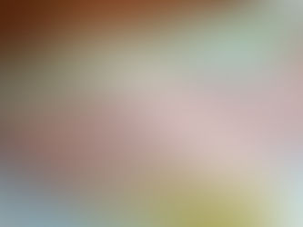 State By State Guide To Coronavirus Reopening