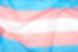 Dra. Paloma Cruz _ THAG