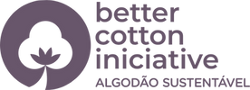 BCI.png