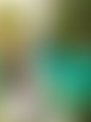 Você precisa conhecer: Cachoeira Santa Bárbara - Chapada dos Veadeiros