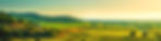 Tuscany-010.jpg