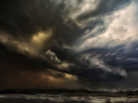 WIN 'CREATIVE NATURE' CATEGORY: VSS COMPETITION