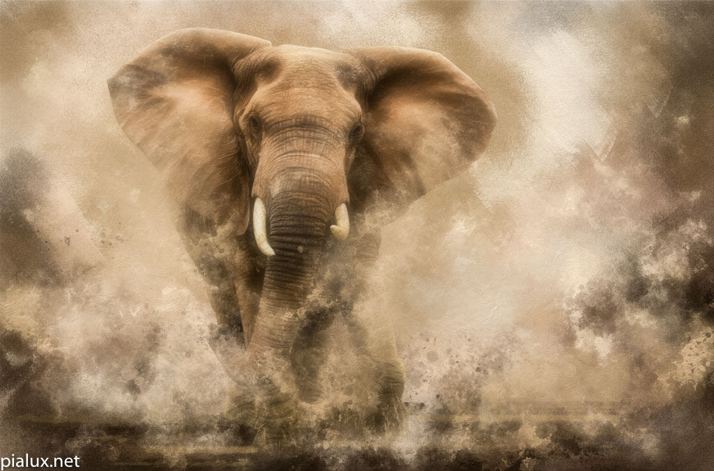 '...raging Elephant Bull charging..'