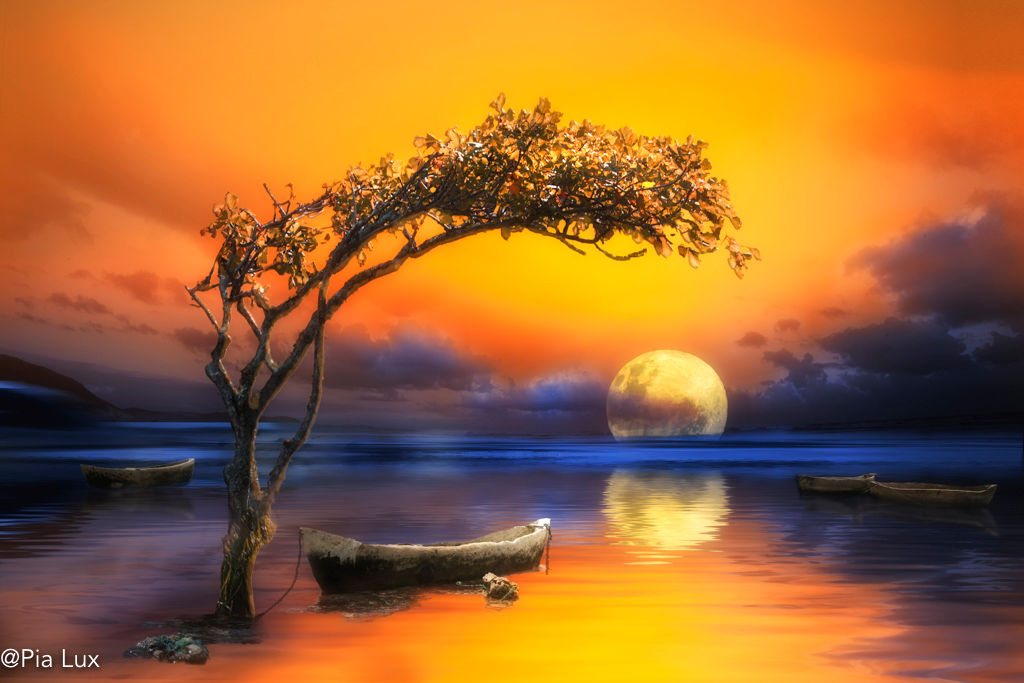 That night when the moon was full