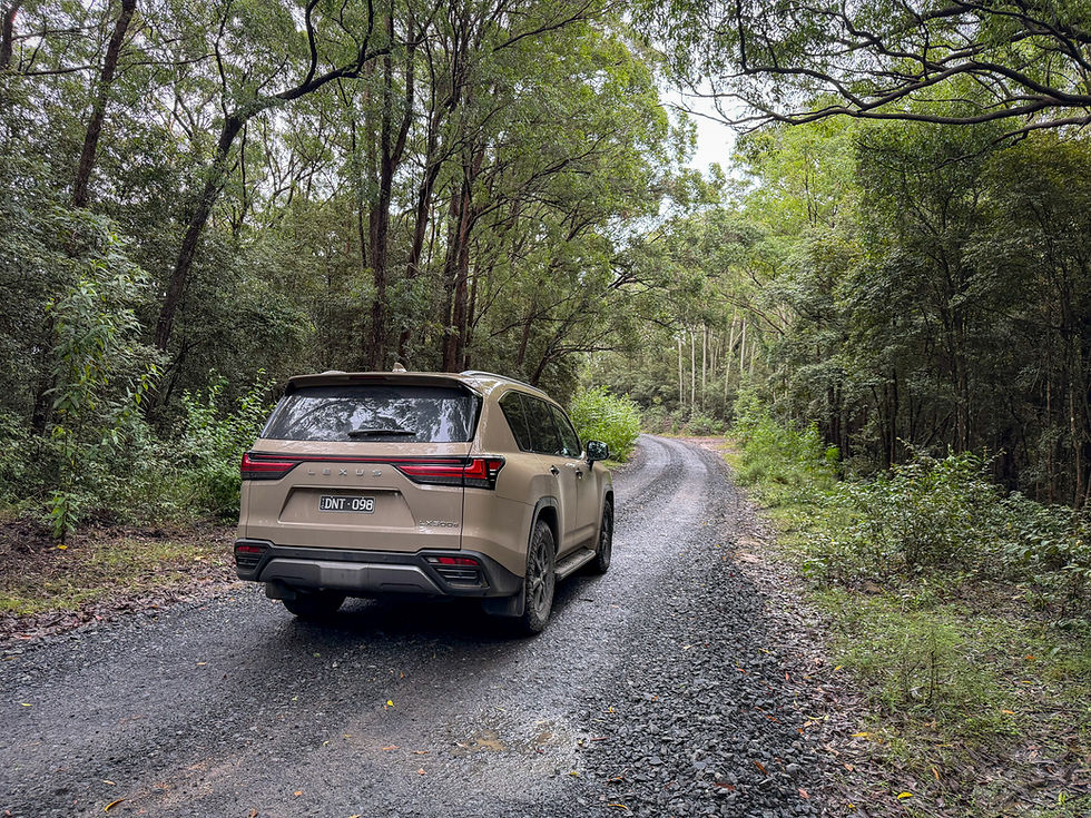 Beige Lexus SUV with DNT 098 plate on a winding gravel road through dense green forest.