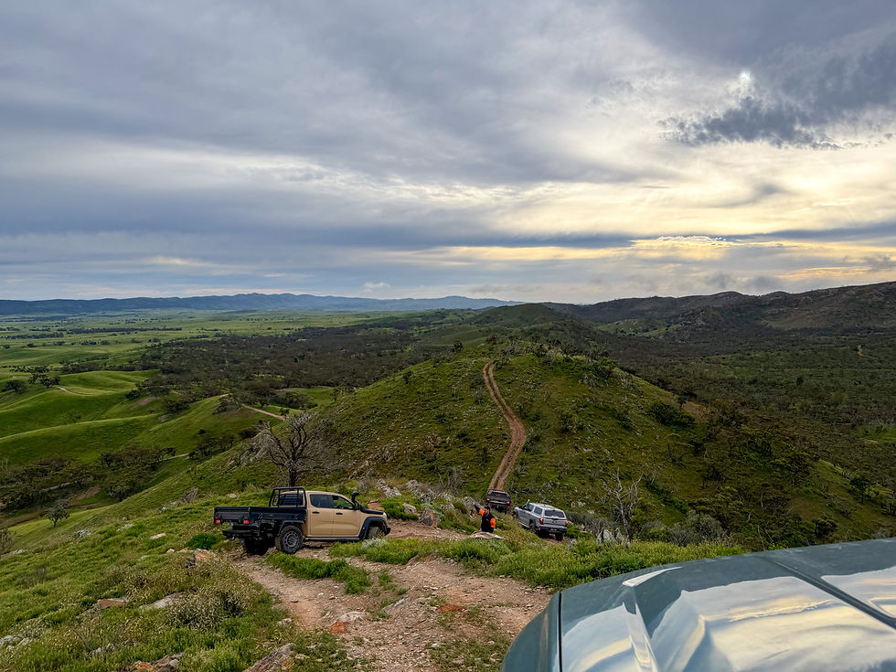 Off-road trucks on a grassy hill track under a cloudy sunset sky, with rolling green hills stretching into the distance.