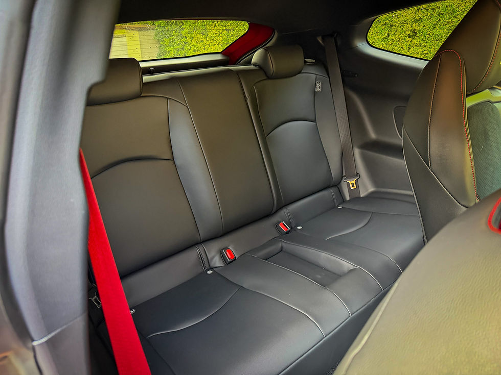 Black leather rear car seats with red seat belt, viewed from the front; green hedge visible through tinted windows.