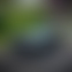 Driven. 2025 Honda Accord e:HEV RS