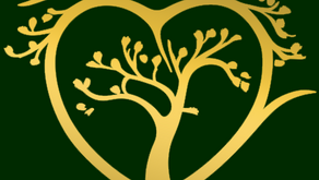 Year of Abundance