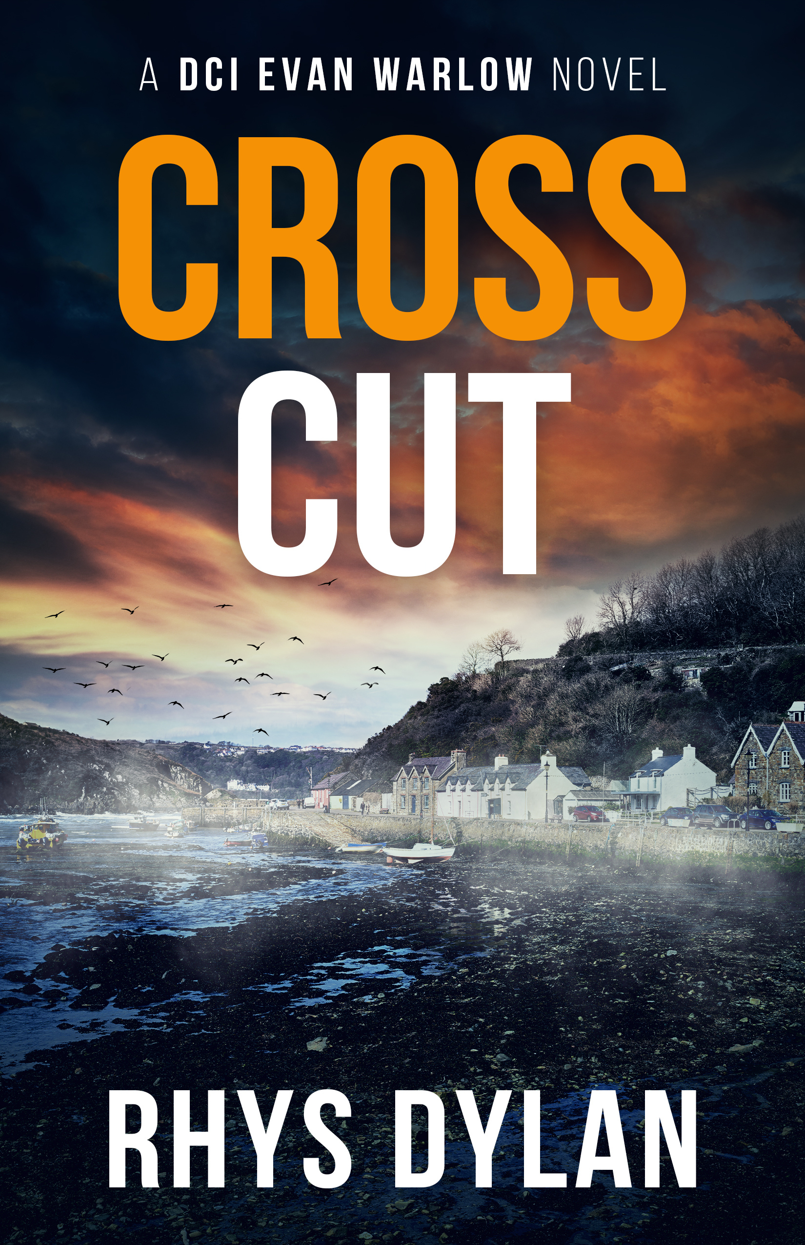 Cross Cut by Rhys Dylan, DCI Evan Warlow Book 19. Coastal village with white houses and small boats on rocky water.