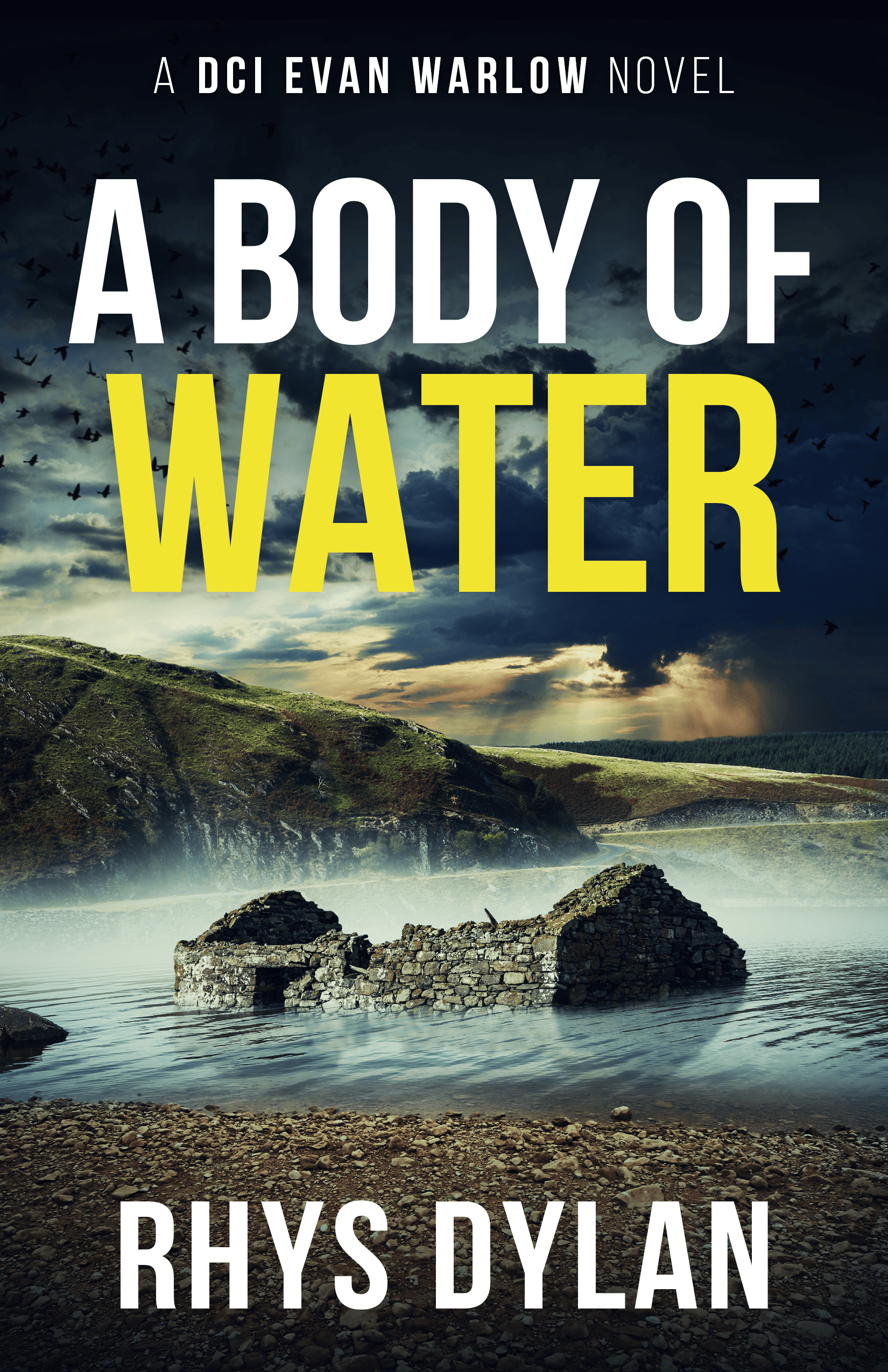 A Body of Water by Rhys Dylan, DCI Evan Warlow Book 8. Ruined stone structure in water under a dramatic sky with birds.