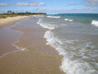 A Guide to Using This Blog