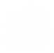 Katelyn Peterson's white logo of a lion and unicorn side-by-side with sparkles