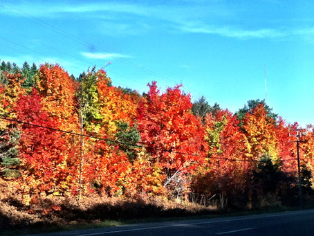 Ula Release Date: October 24th, 2017