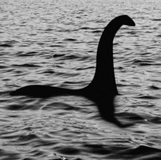 The Nessie Files cover. Written by Simon Moorhead. Picture of the Nessie monster.