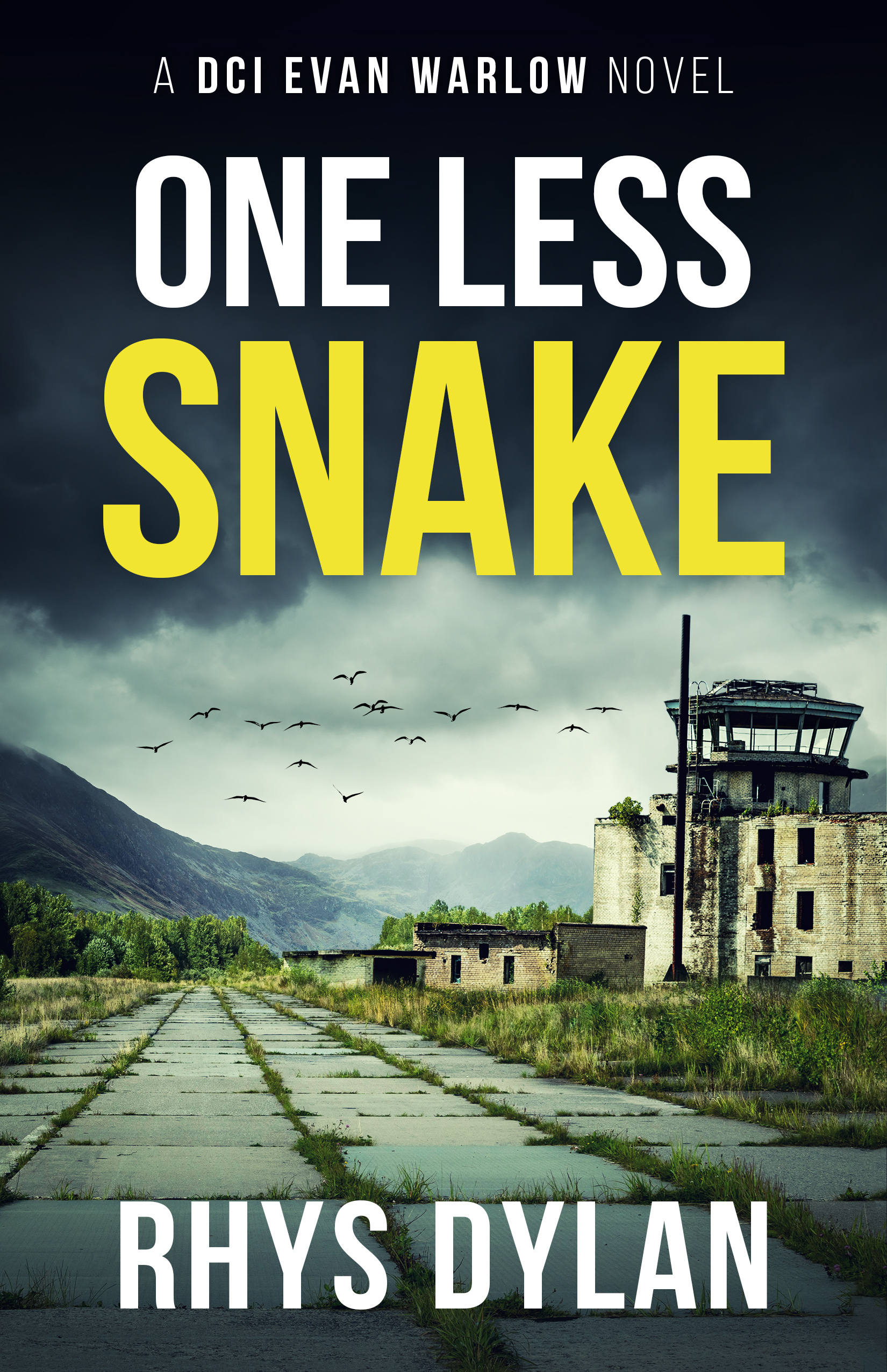 One Less Snake by Rhys Dylan, DCI Evan Warlow Book 16. Desolate runway to an abandoned control tower under a stormy sky.