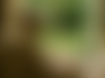 Hrothgar the Dragon King: The Legacy Before Beowulf