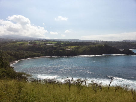 The Many Perks to Writing Contests