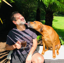 large Ridgeback dog kissing man on the face in the garden