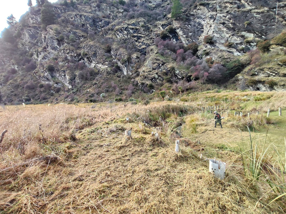 Creek_Restoration_Working_01.jpg